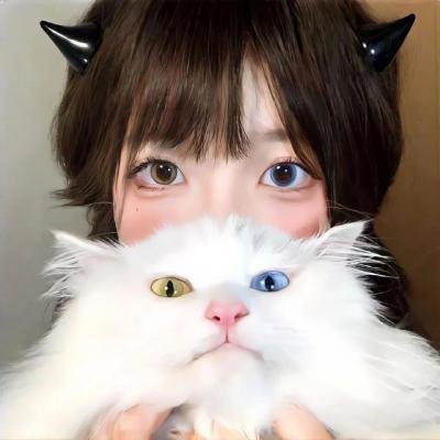 活动写真